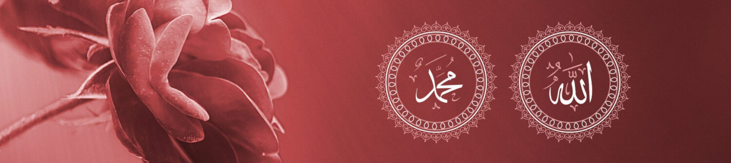 MEİN RELİGİON İSLAM